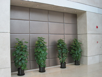 �����̻�����ֲ��